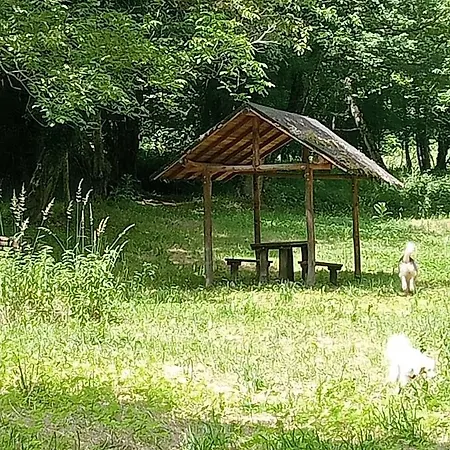 Hébergement de vacances Le Macine Magnano (Tuscany)